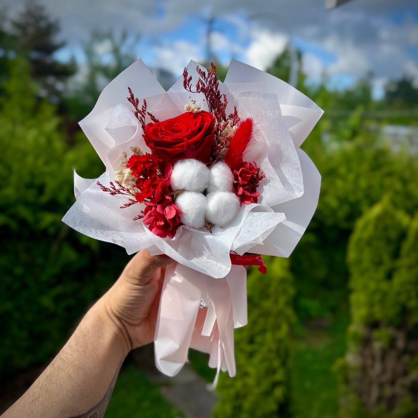 The Cotton Bloom - Red