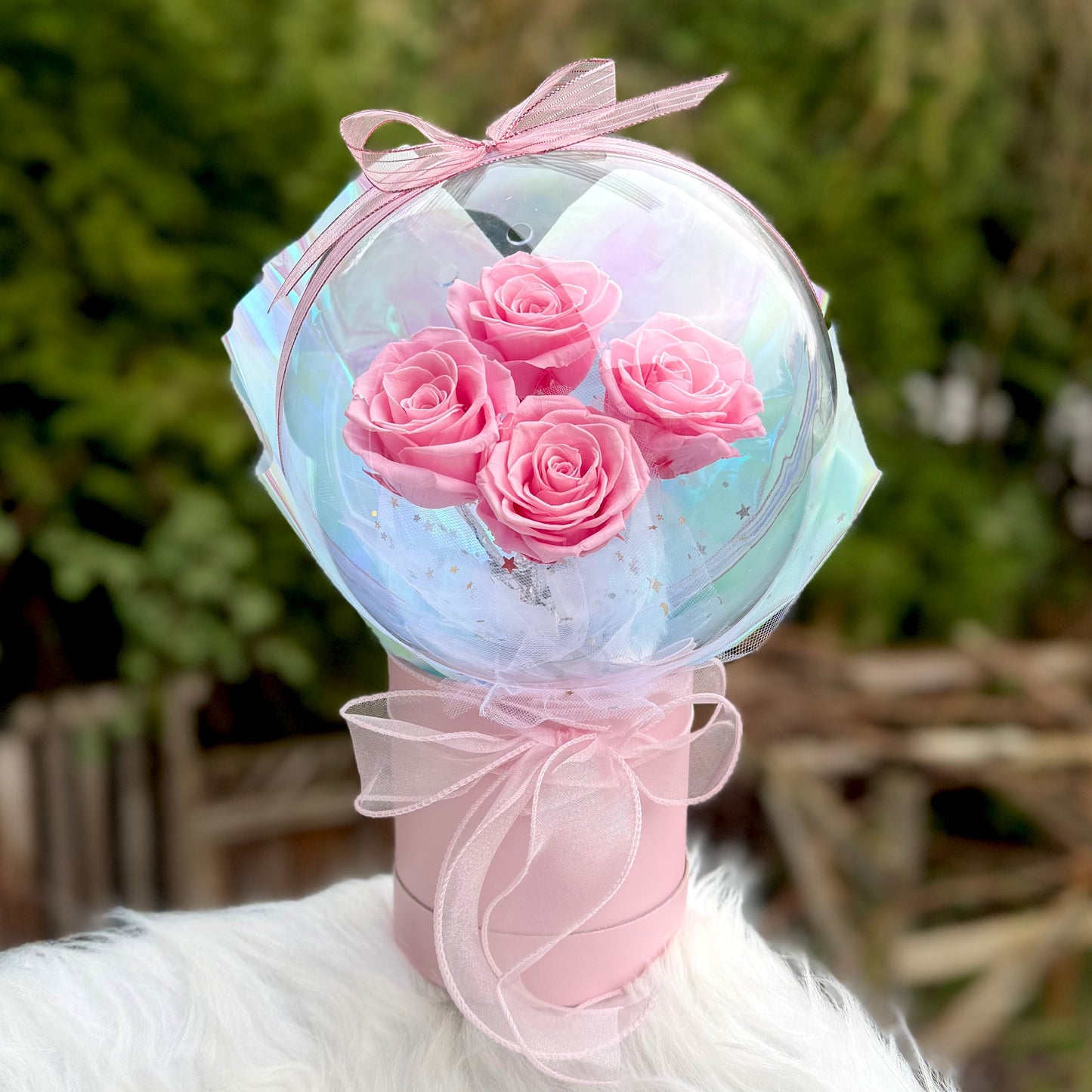 The Pink Halo - Bobo Roses Box