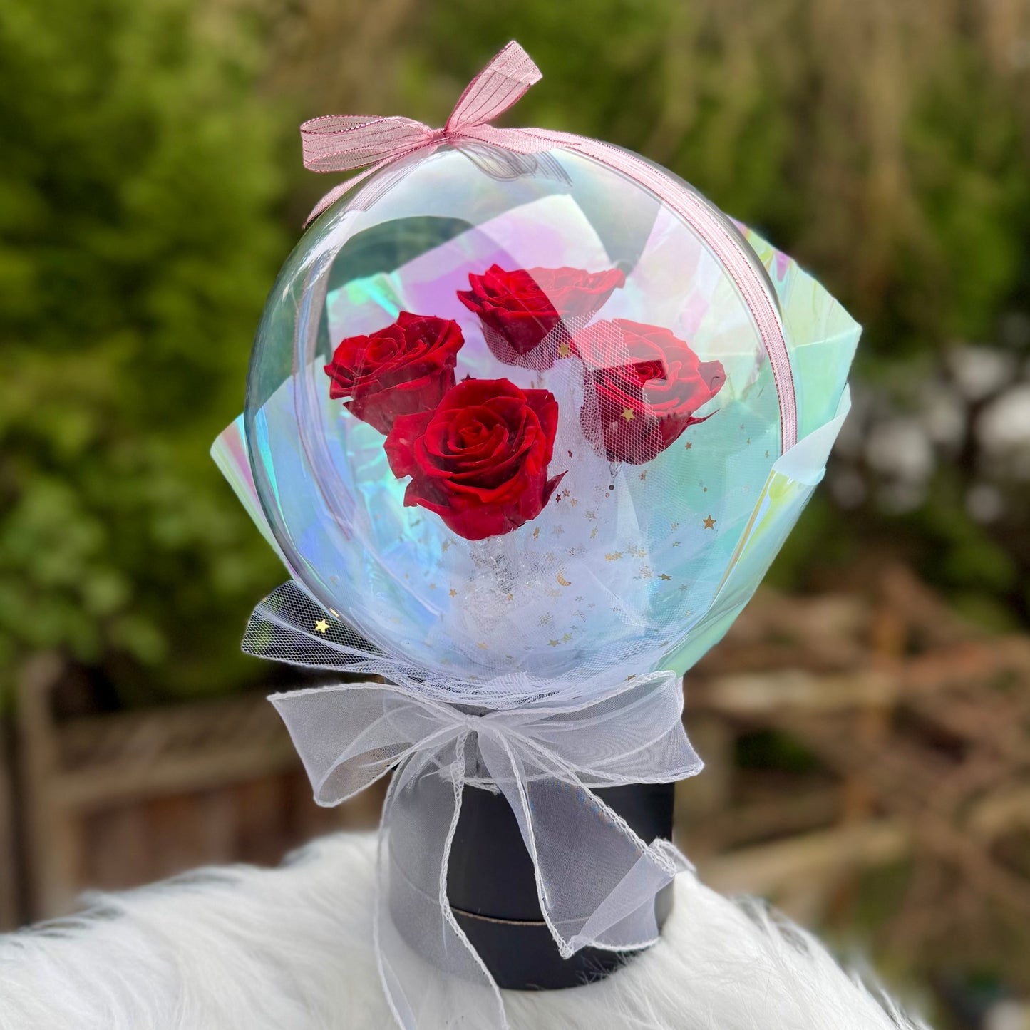 The Red Halo - Bobo Roses Box