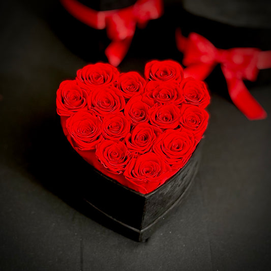 Forever Amour Grande - Black