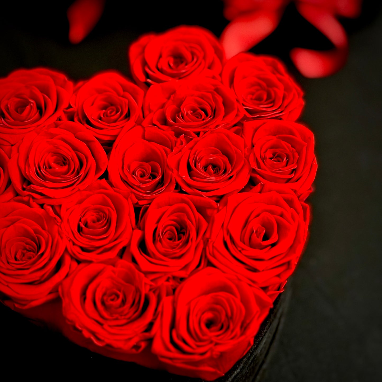Forever Amour Grande - Black
