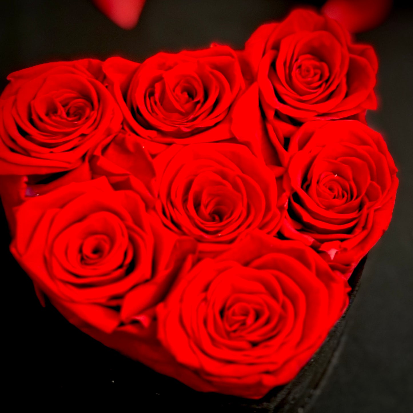 Forever Amour Luxe - Black